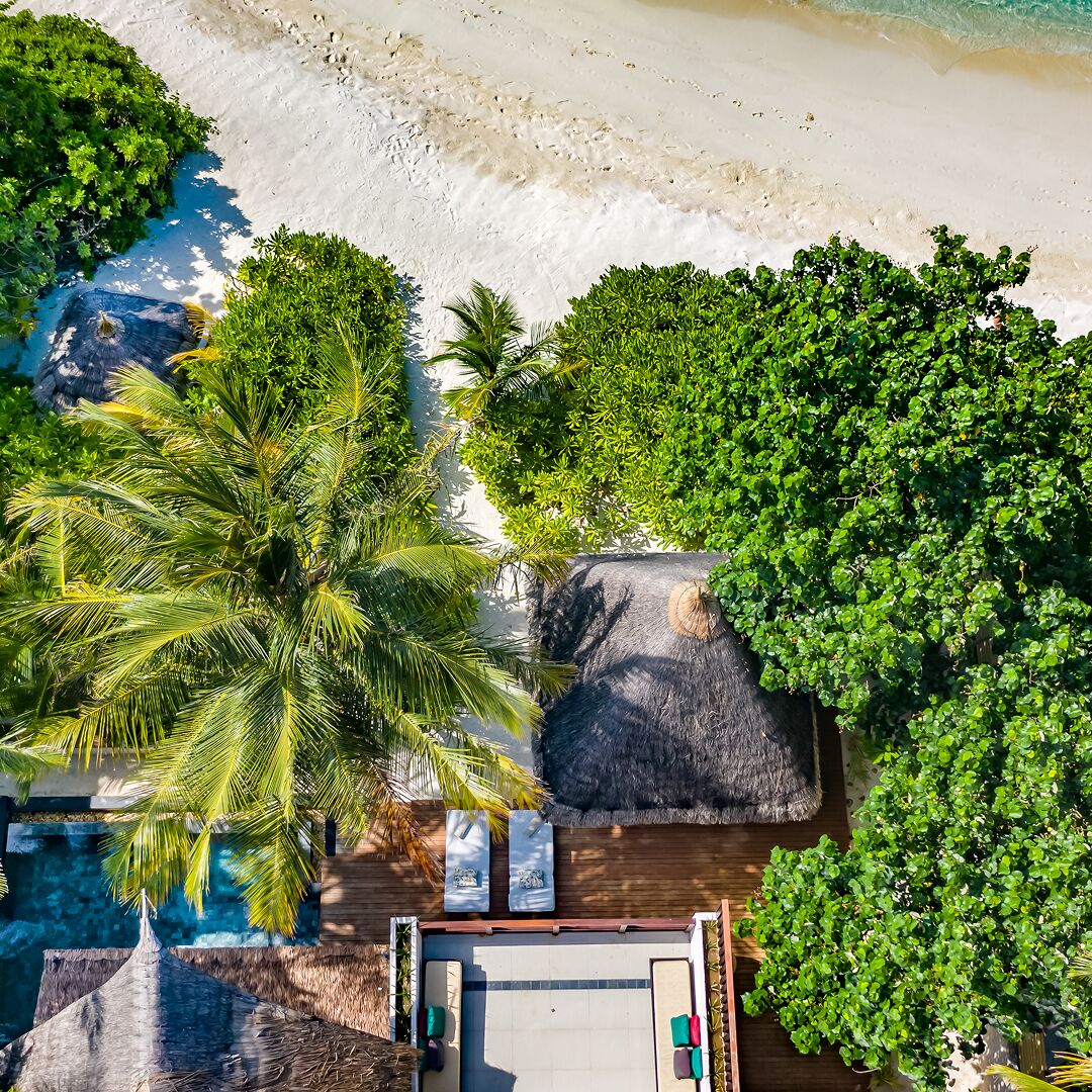 OZEN RESERVE BOLIFUSHI