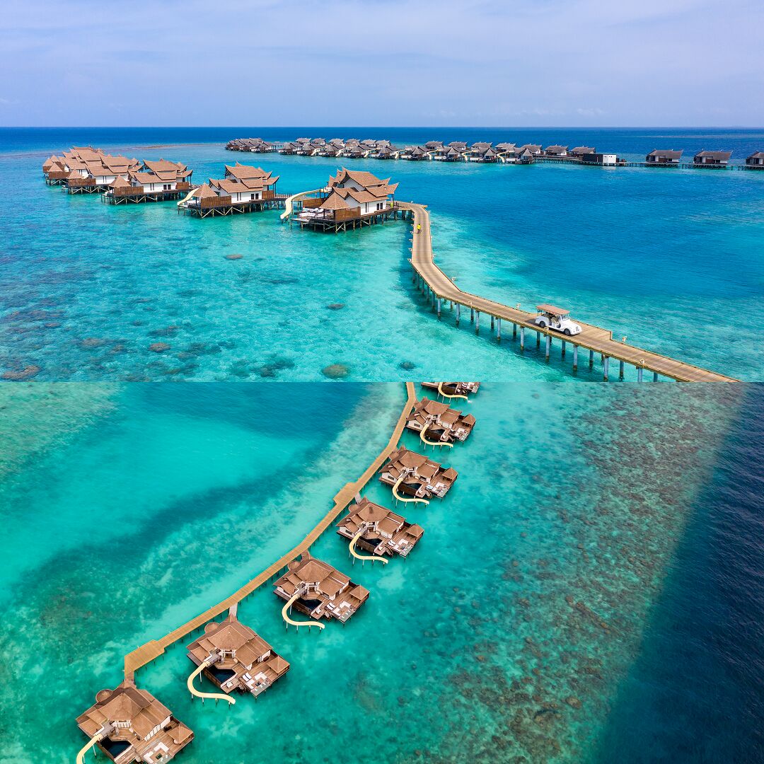 OZEN RESERVE BOLIFUSHI